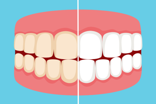 企业微信截图_17621524354039 企业微信截图_17621524354039